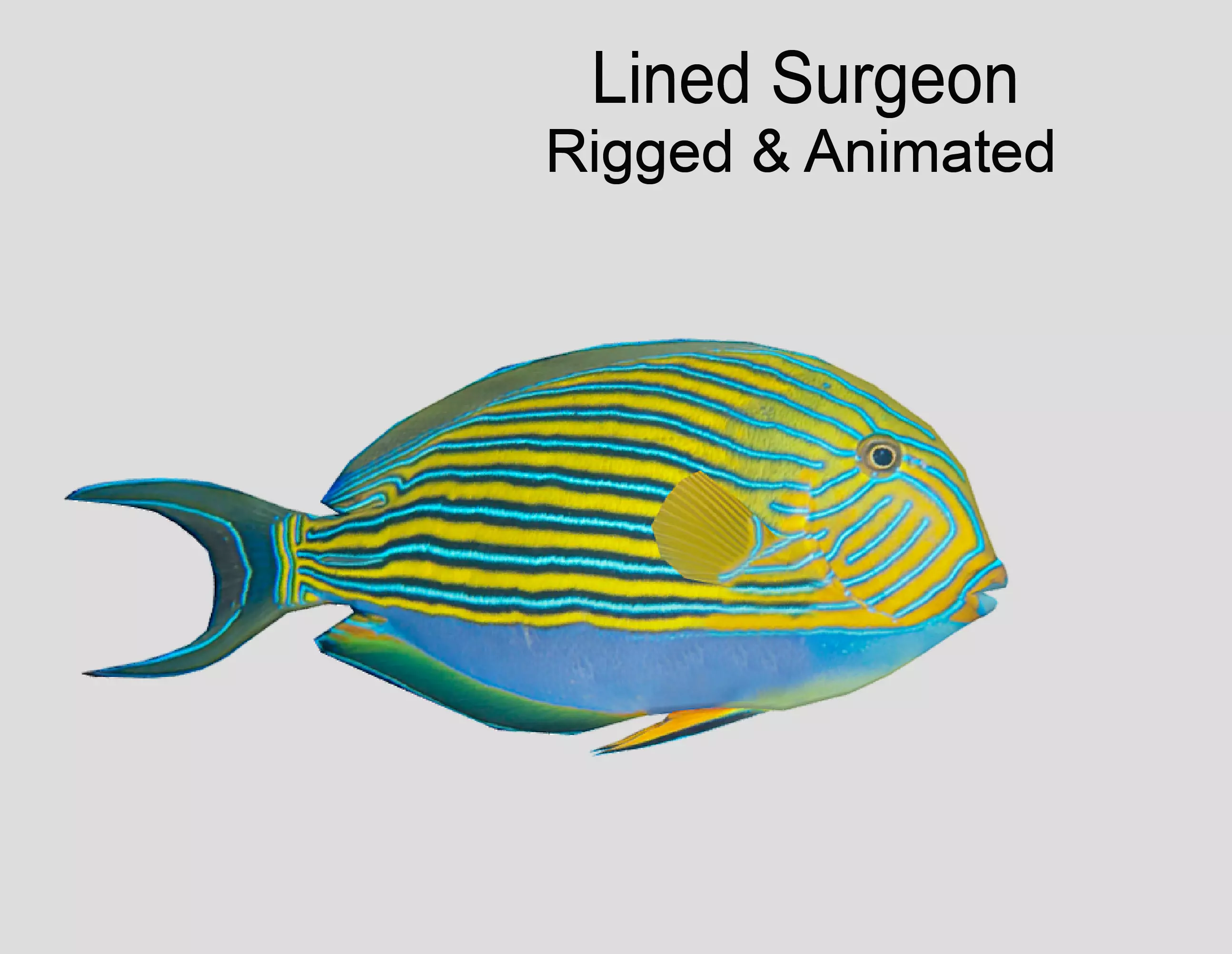 Lined Surgeon Realistic Animated Low-poly 3D model