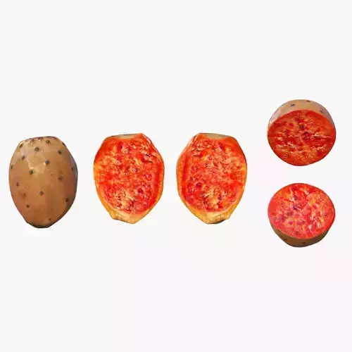 Prickly Pear Orange Low-poly 3D model