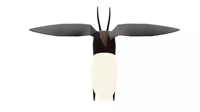 insect Low-poly 3D model