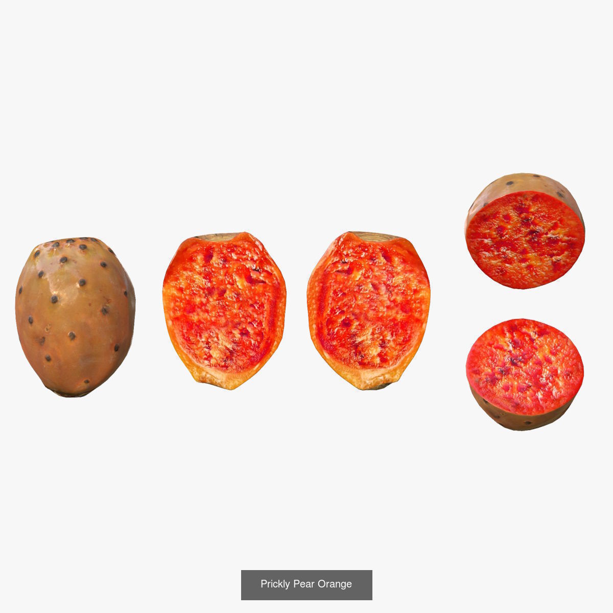 Prickly Pears 3D Model Collection_6