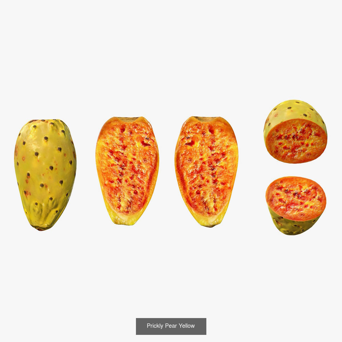 Prickly Pears 3D Model Collection_8