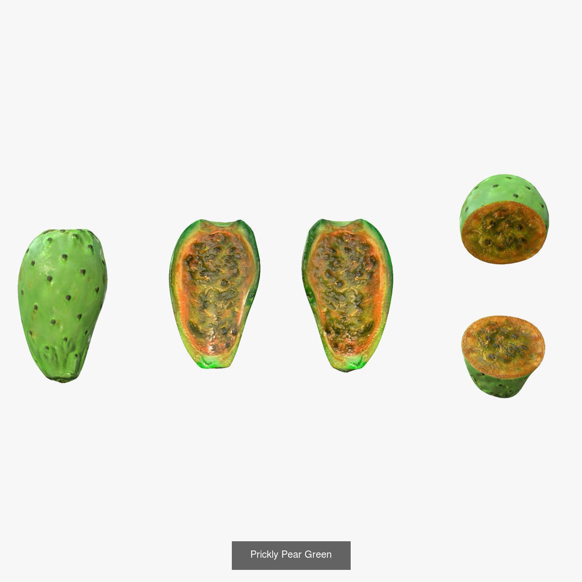 Prickly Pears 3D Model Collection_5