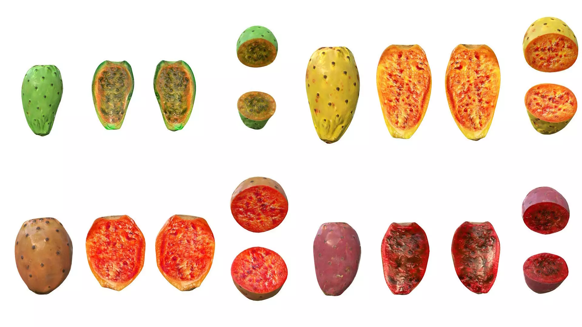 Prickly Pears 3D Model Collection_0