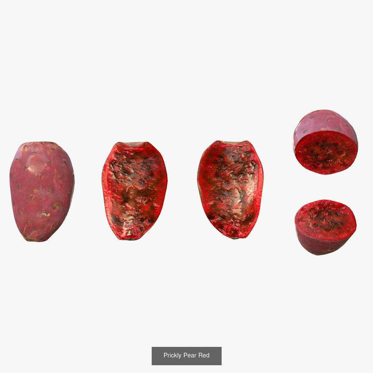 Prickly Pears 3D Model Collection_7