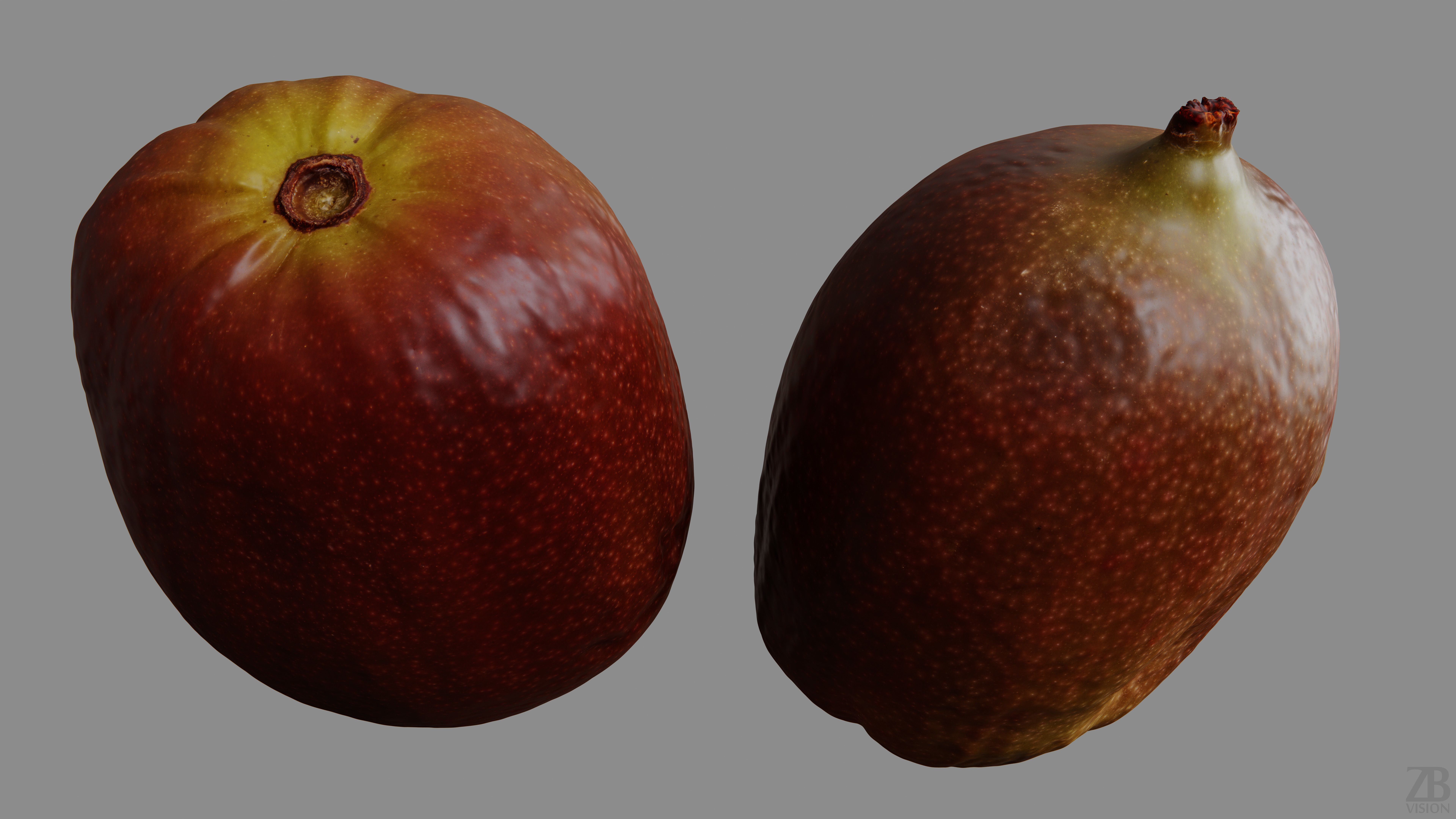Kiwi  3D model_9
