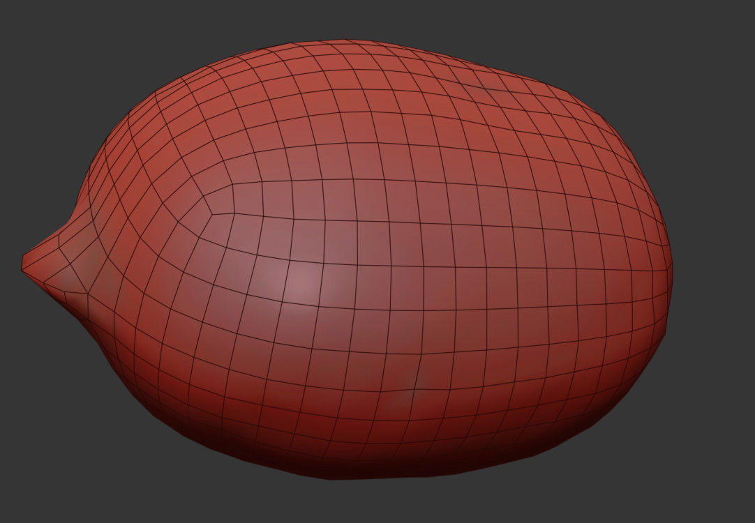 Kiwi  3D model_6
