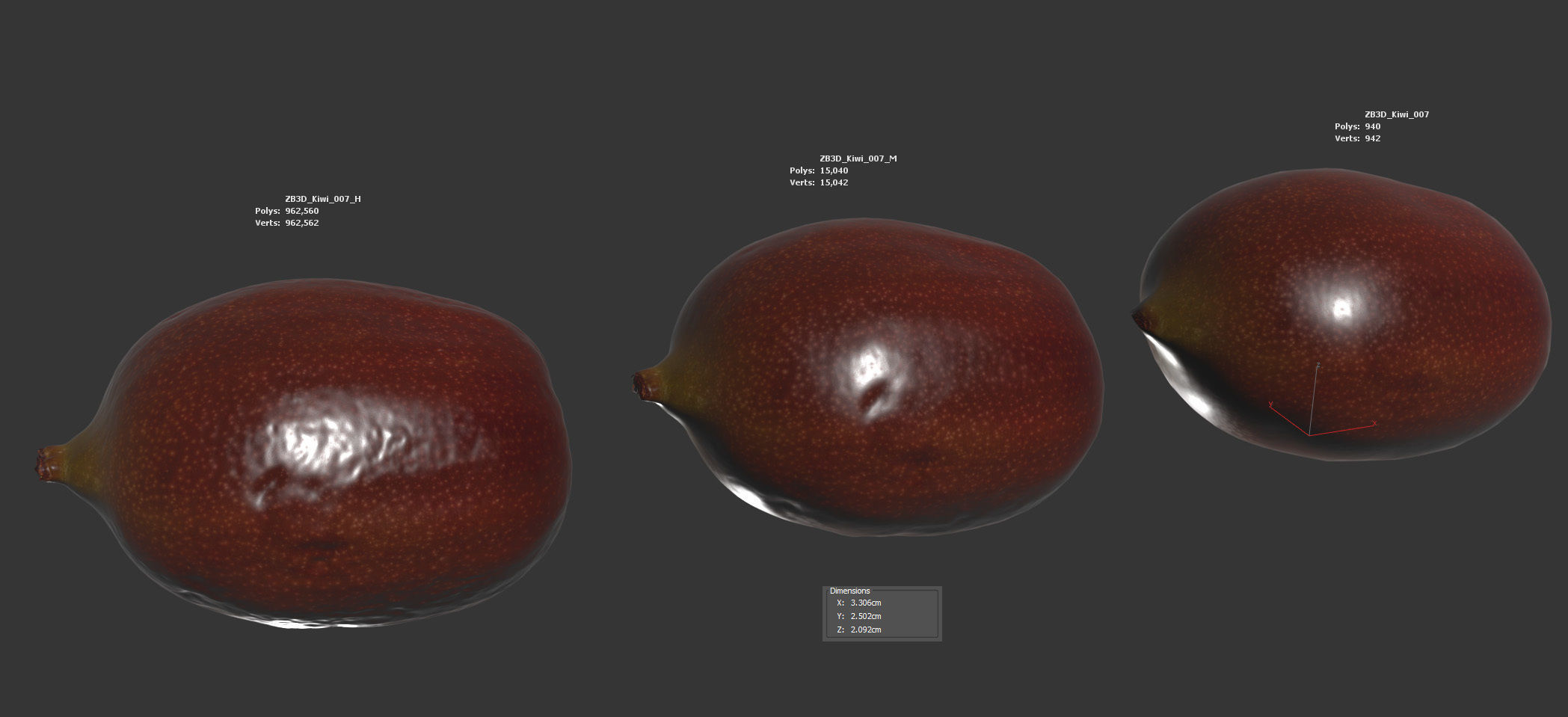 Kiwi  3D model_5