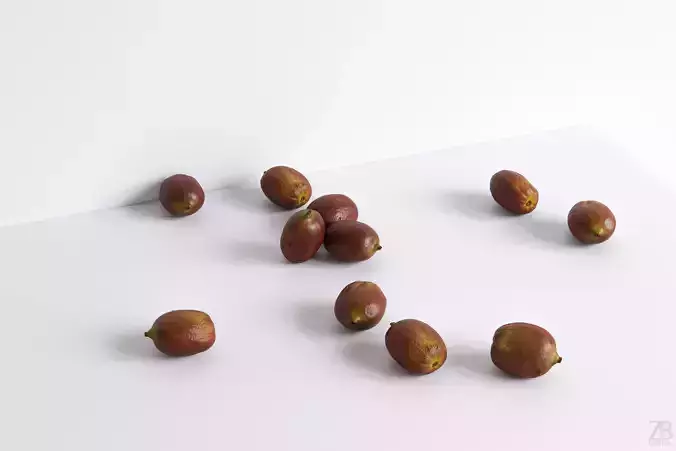 Kiwi  3D model
