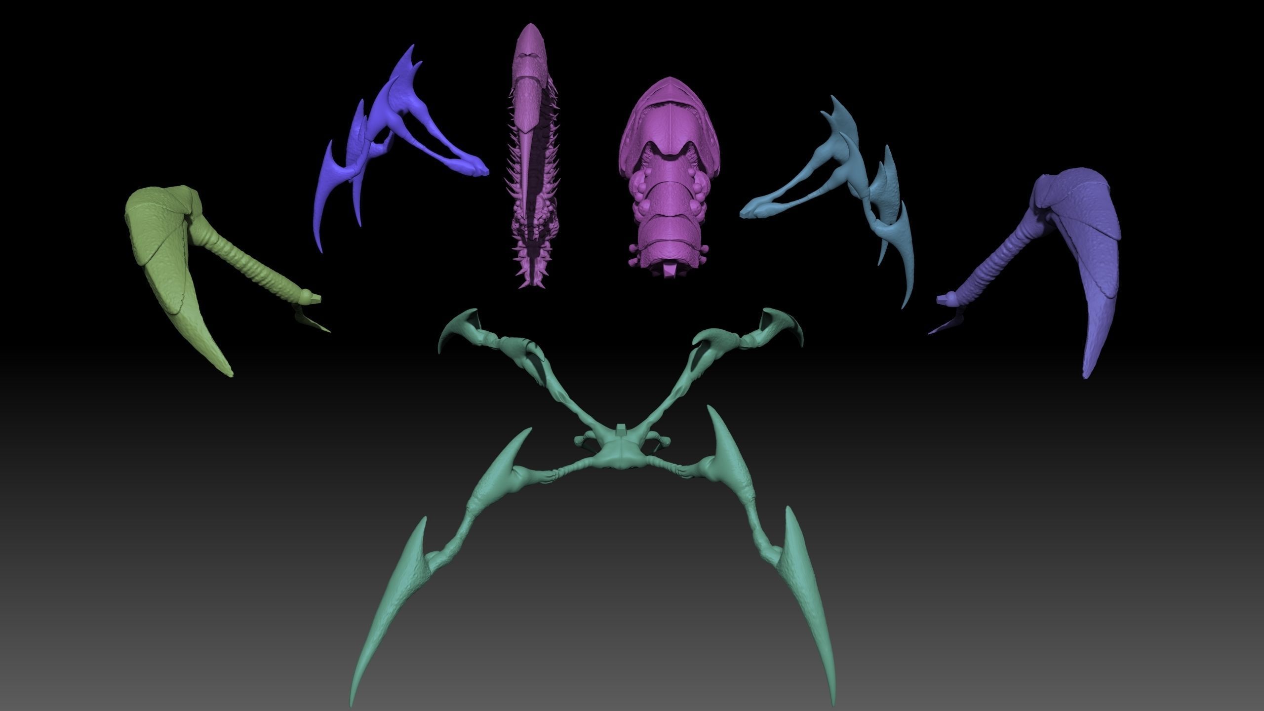 SpiderQueen 3d Model Game Ready 3D print model_14