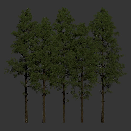 Pine trees collection vol 234 3D model 7