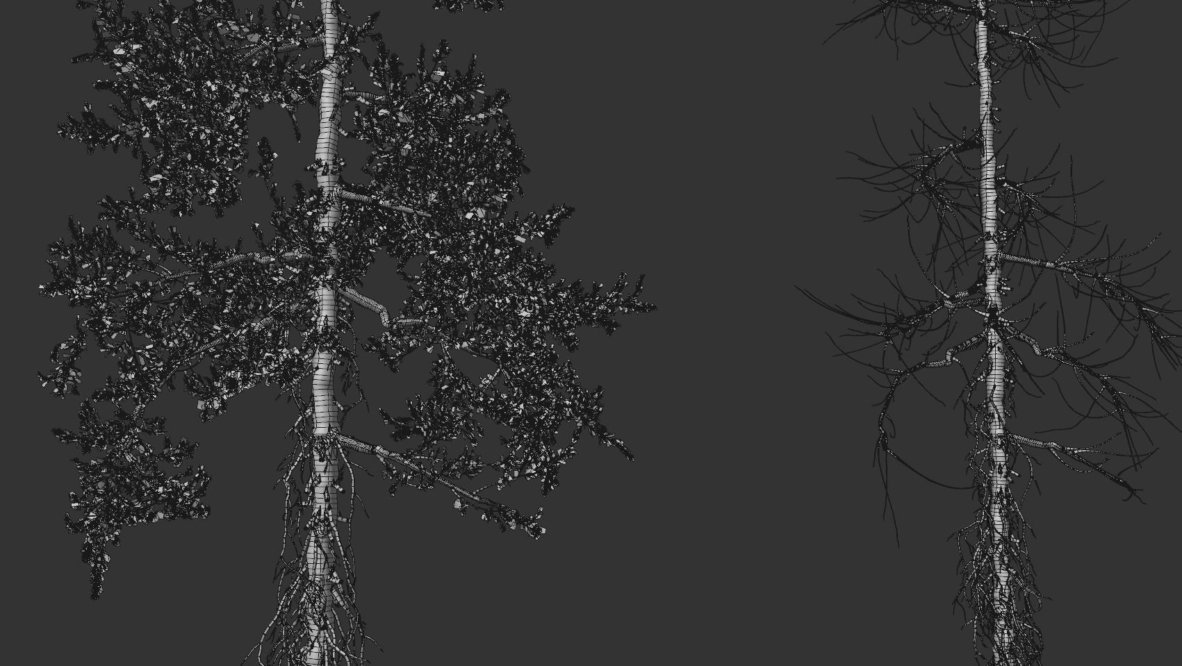 High quality Fir tree 10 3D model_5