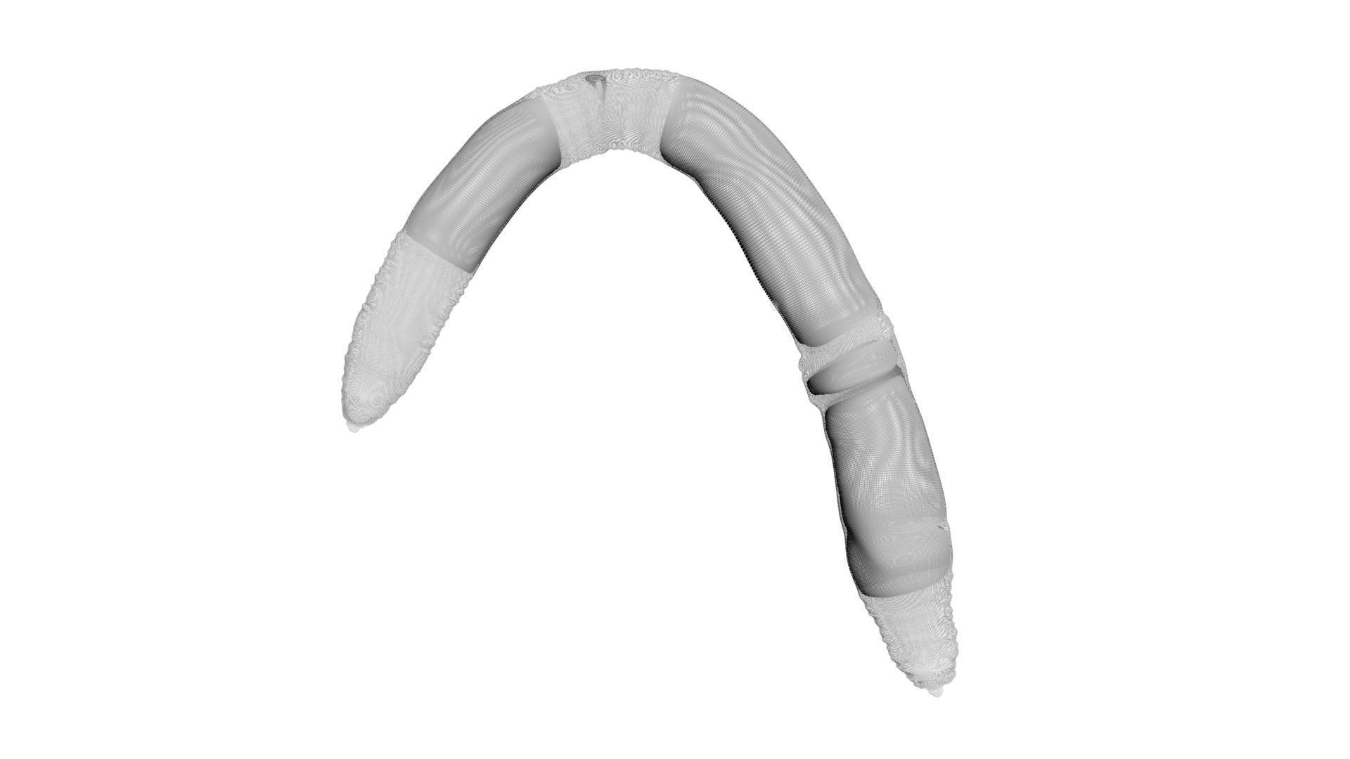 Earthworm 3D model_15