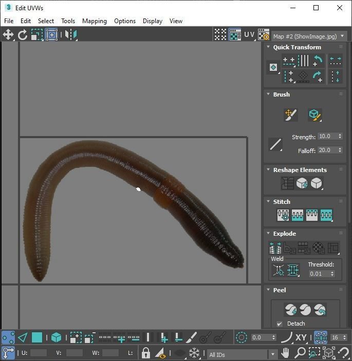 Earthworm 3D model_23