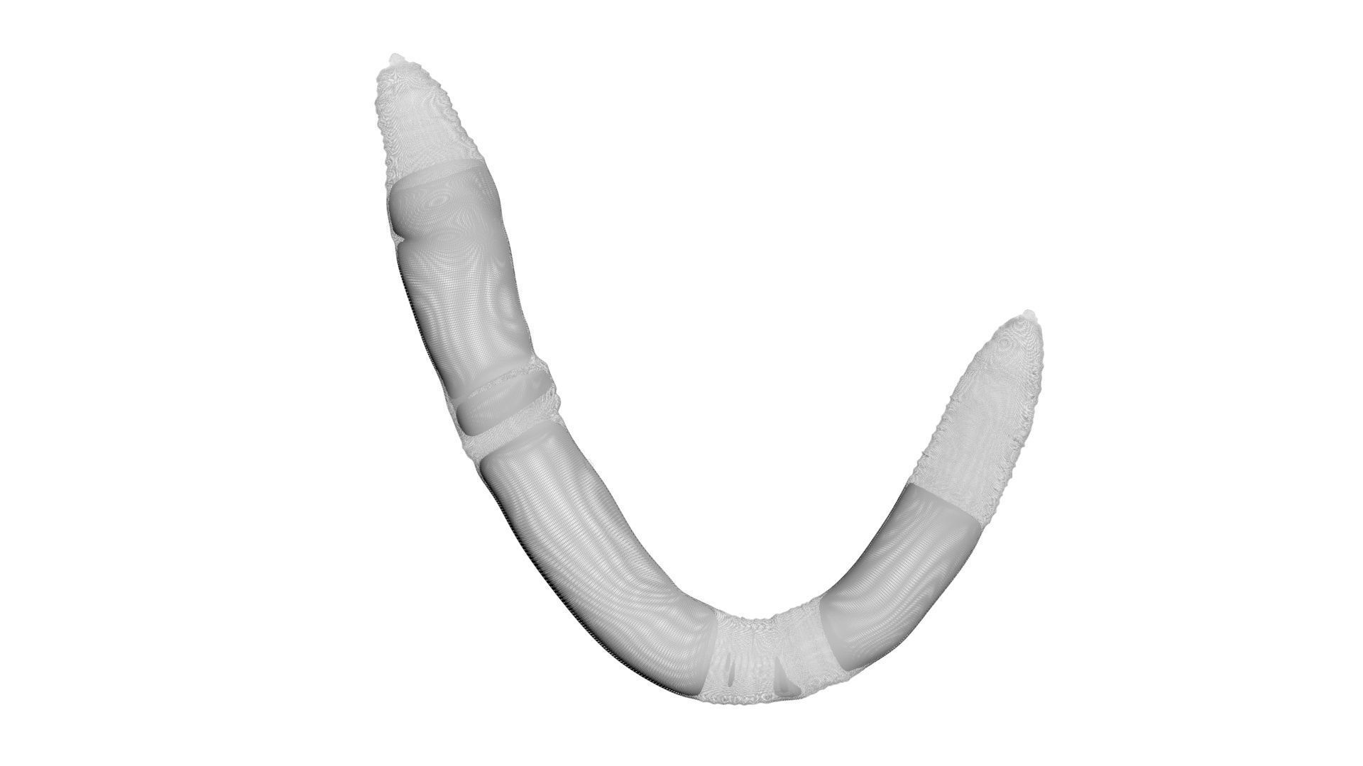 Earthworm 3D model_17