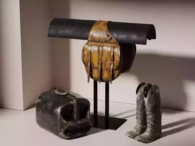 Cowboy Saddle Boots and Bag