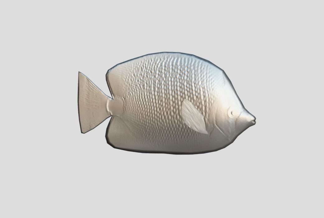 Millet Butterflyfish Realistic Animated Low-poly 3D model_3