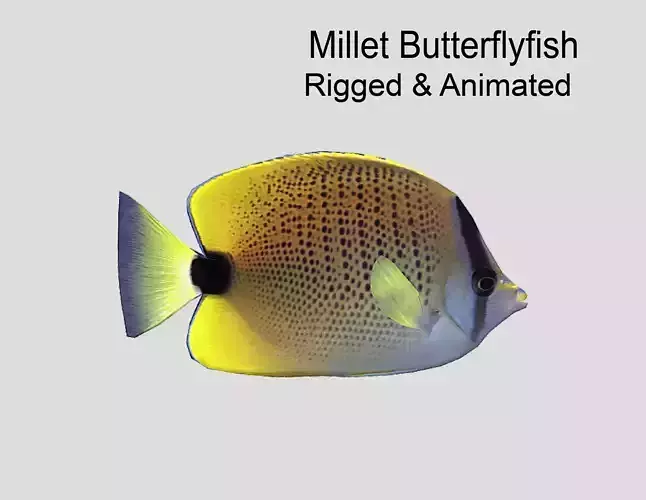 Millet Butterflyfish Realistic Animated Low-poly 3D model