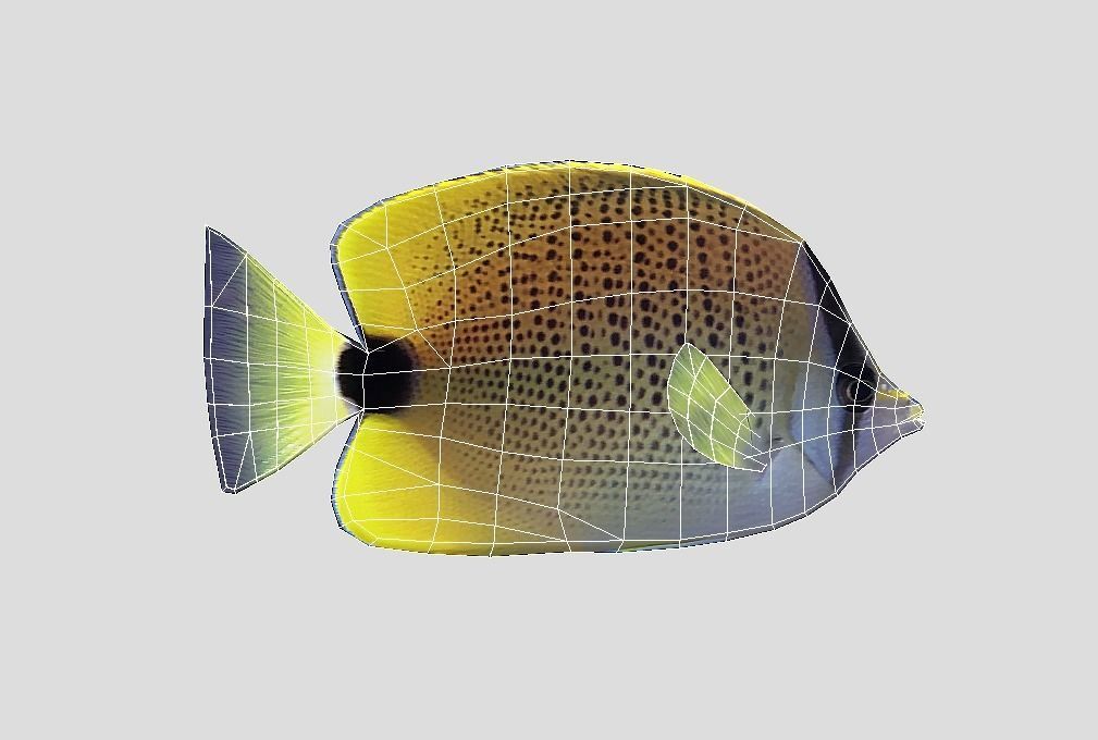 Millet Butterflyfish Realistic Animated Low-poly 3D model_2