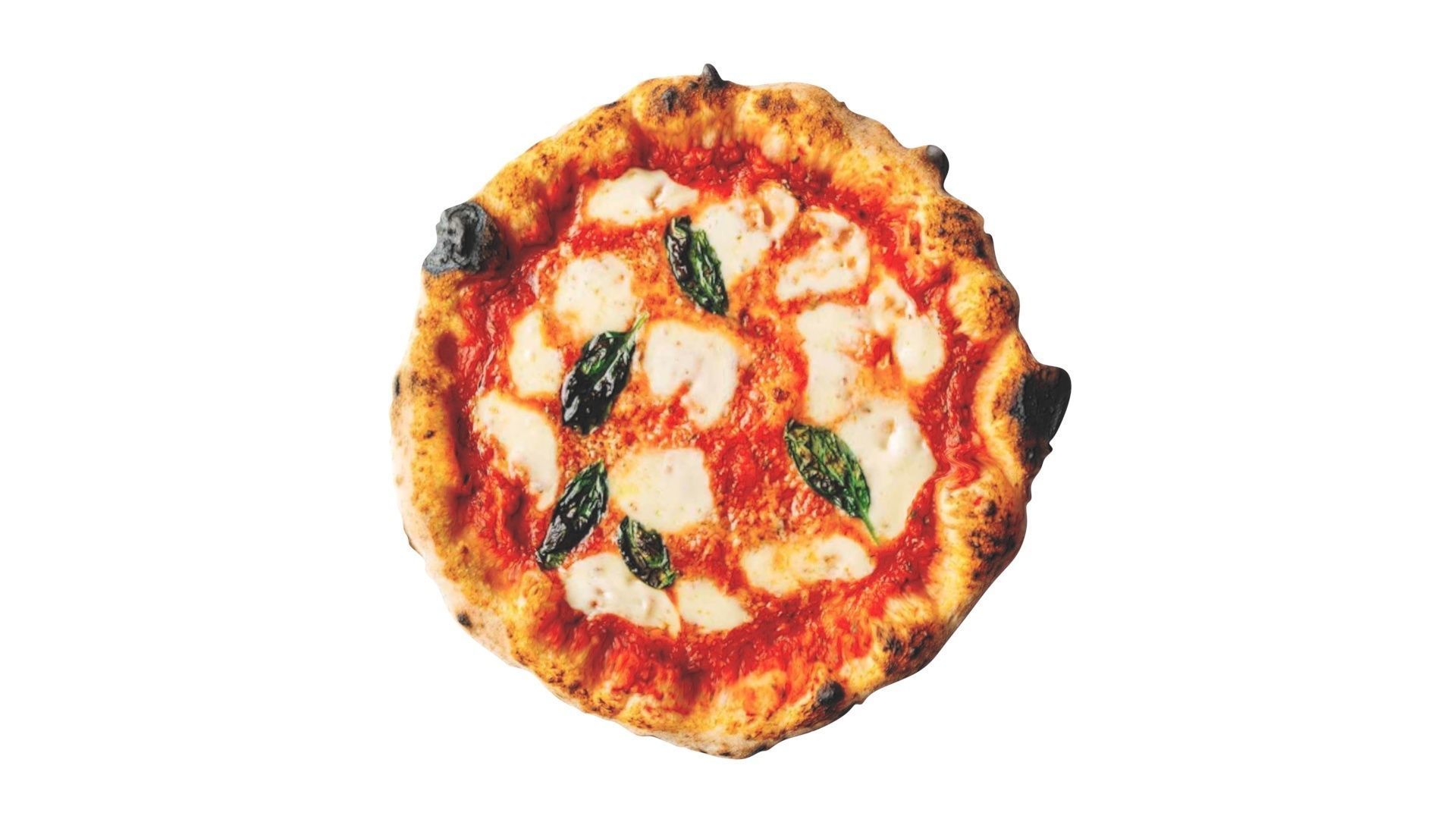 Margherita Pizza 3D model_14