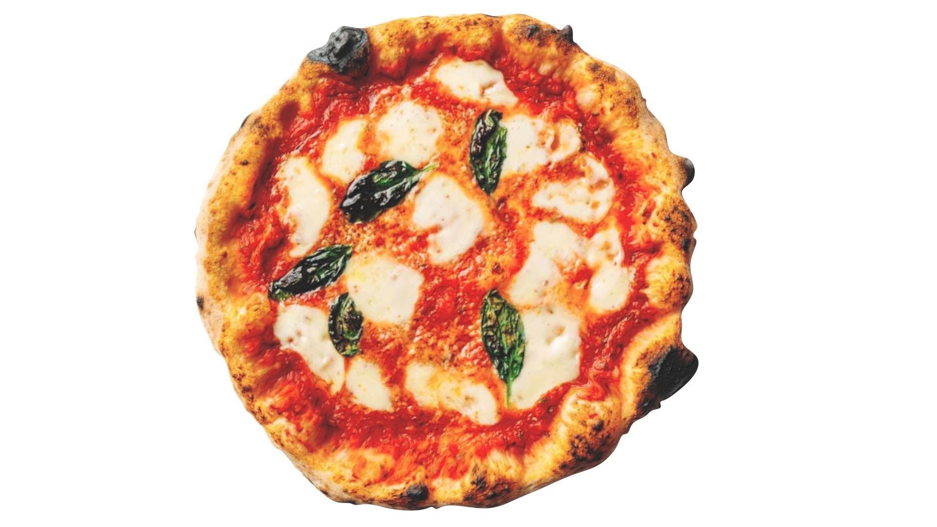 Margherita Pizza 3D model_9
