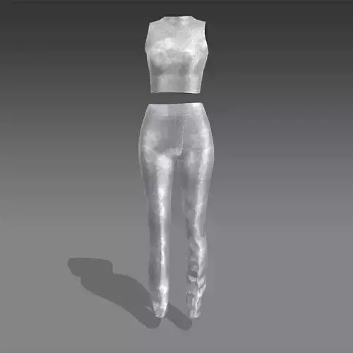 Two pieces metalic  blouse and pant 