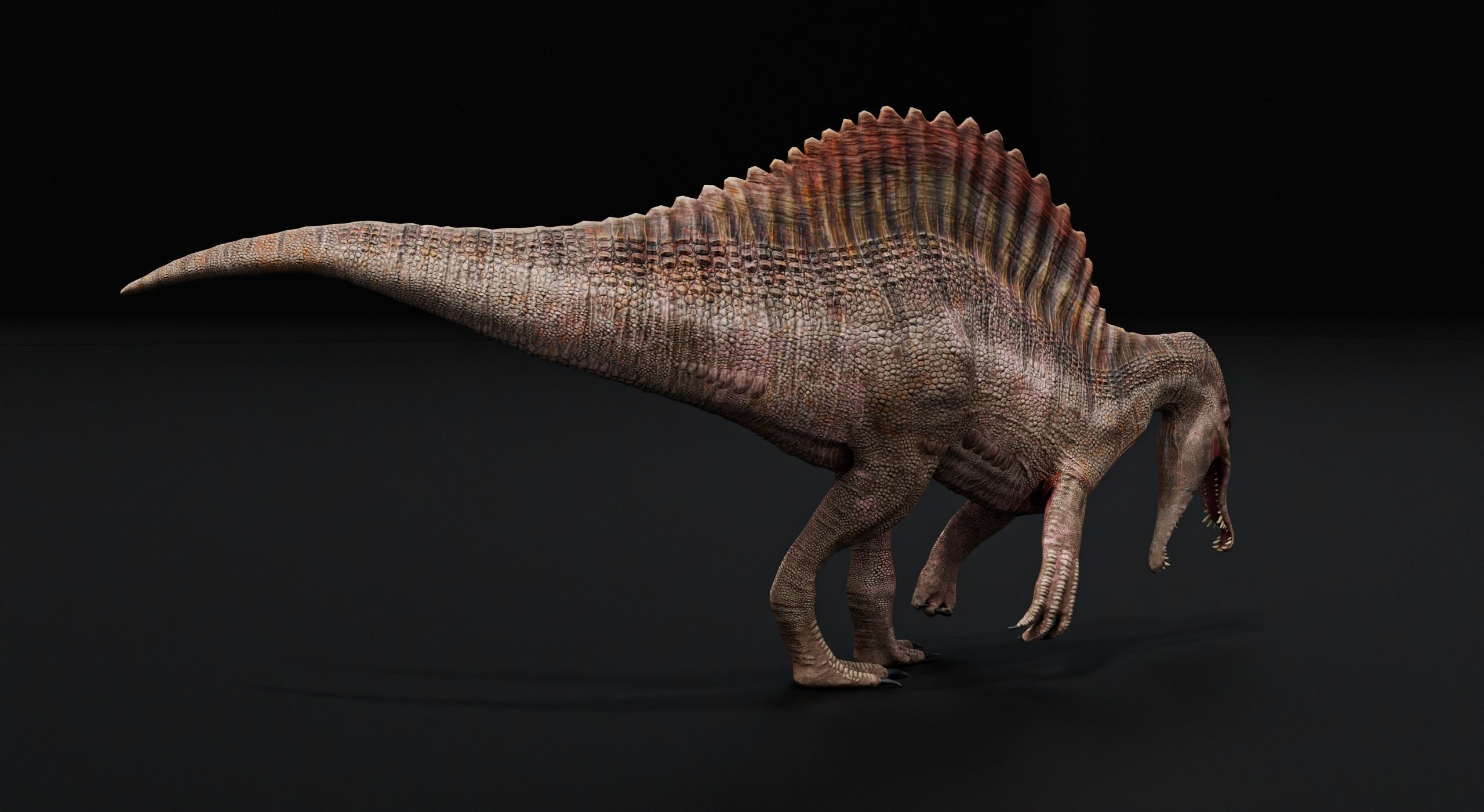 Monster Spinosaurus Dinosaur Low-poly 3D model_40