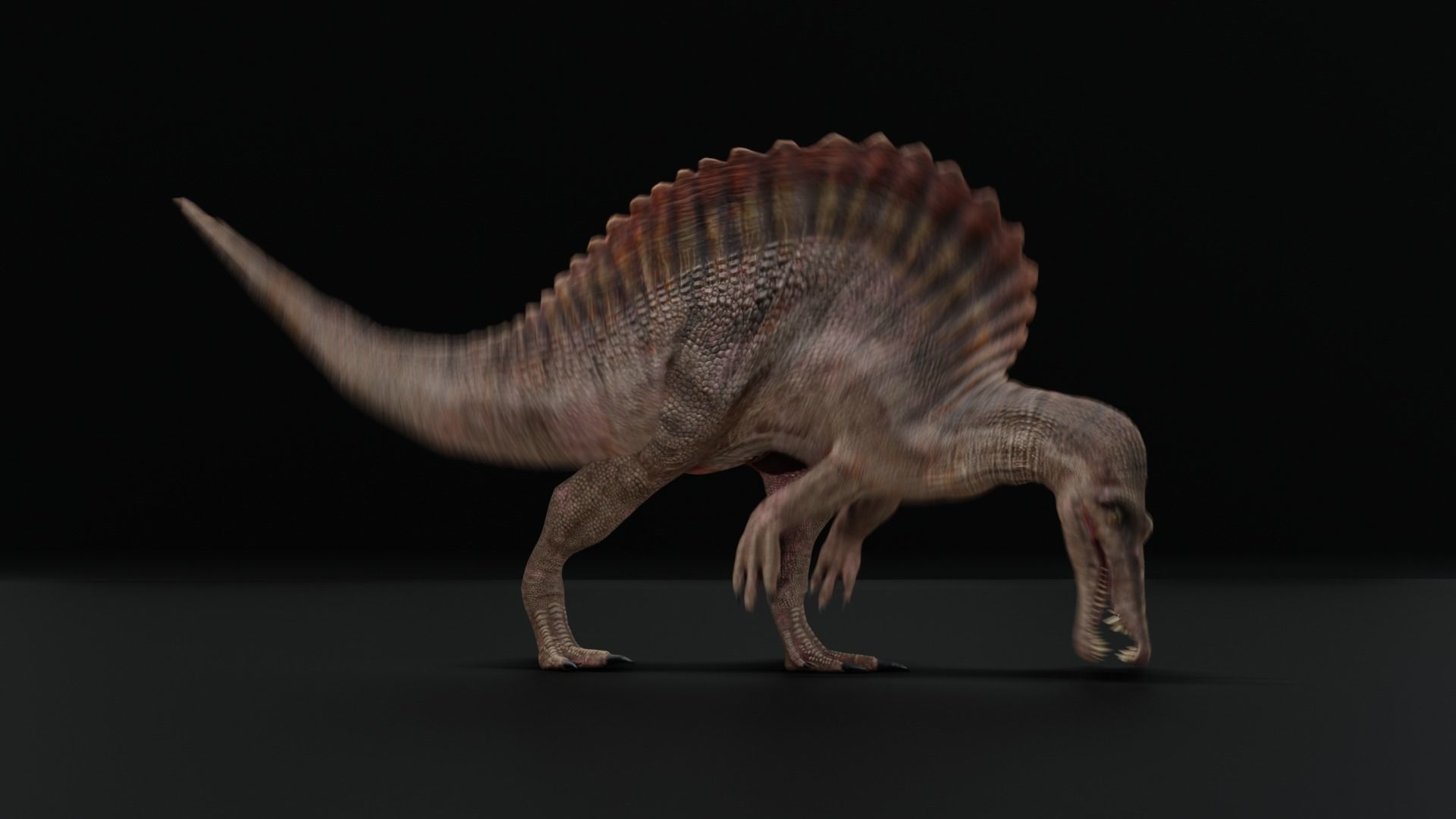 Monster Spinosaurus Dinosaur Low-poly 3D model_23