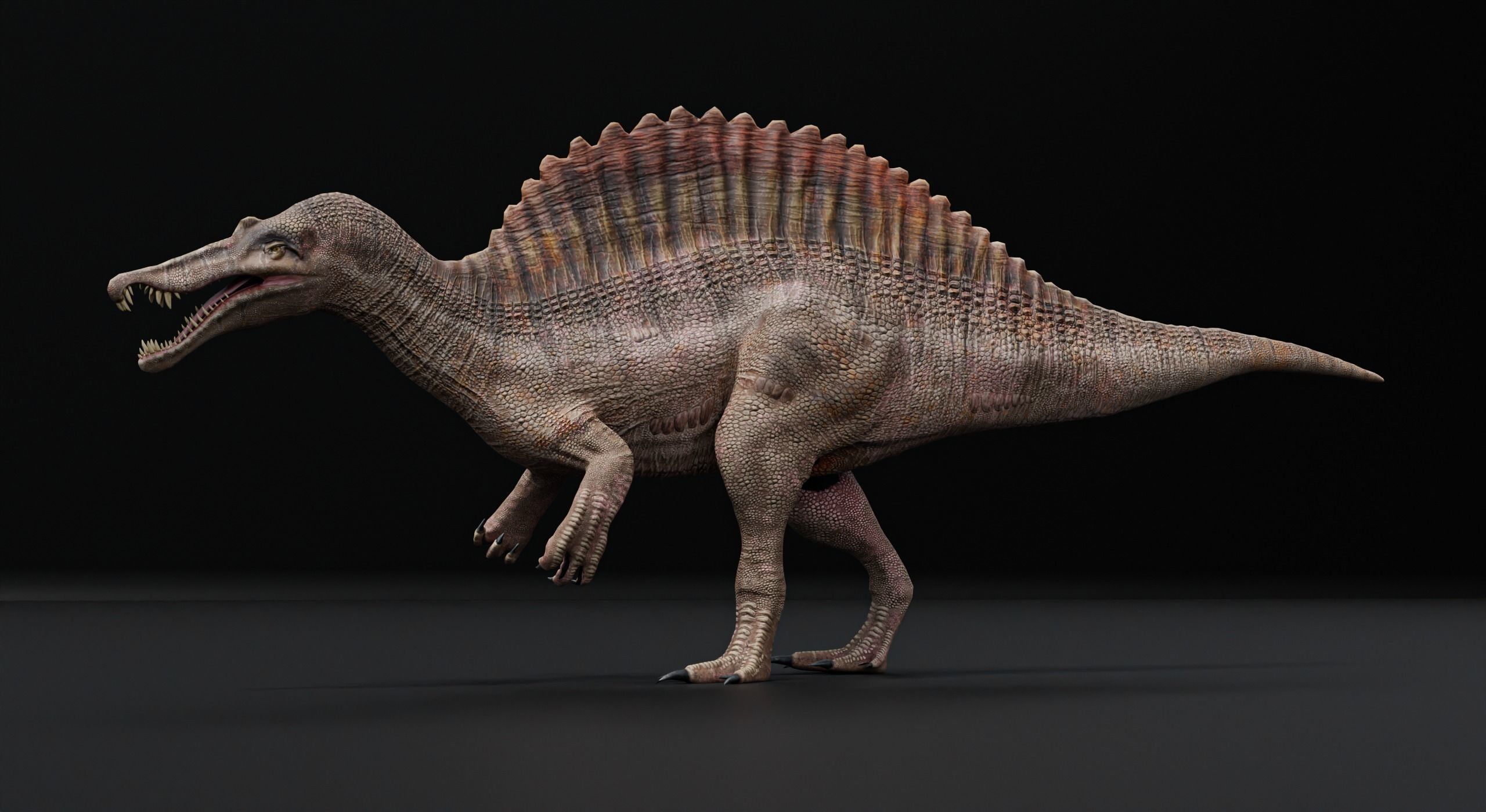 Monster Spinosaurus Dinosaur Low-poly 3D model_6