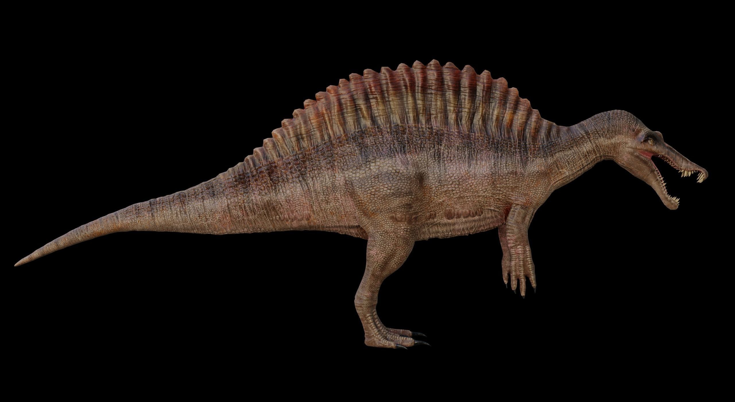 Monster Spinosaurus Dinosaur Low-poly 3D model_24