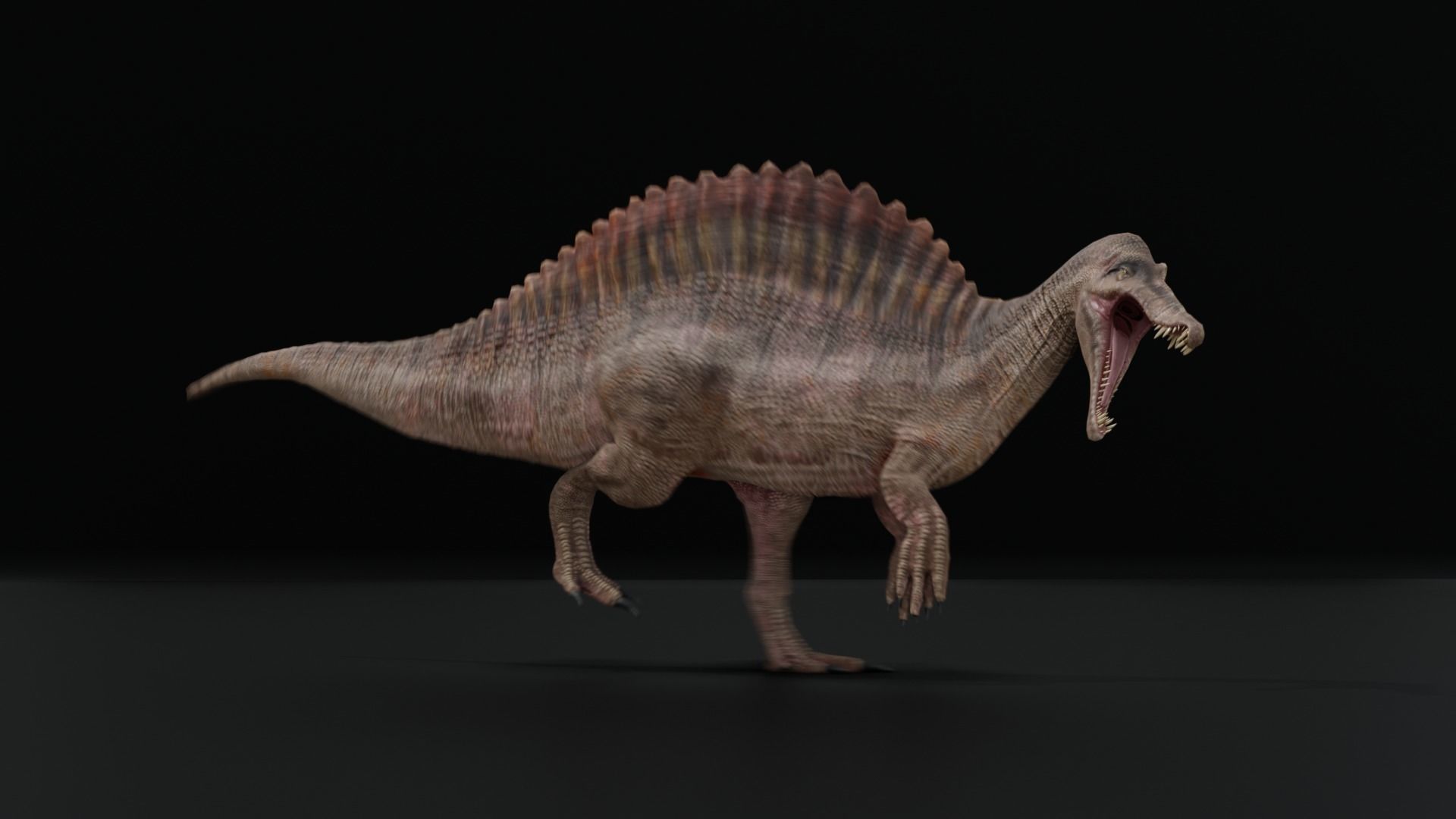 Monster Spinosaurus Dinosaur Low-poly 3D model_16