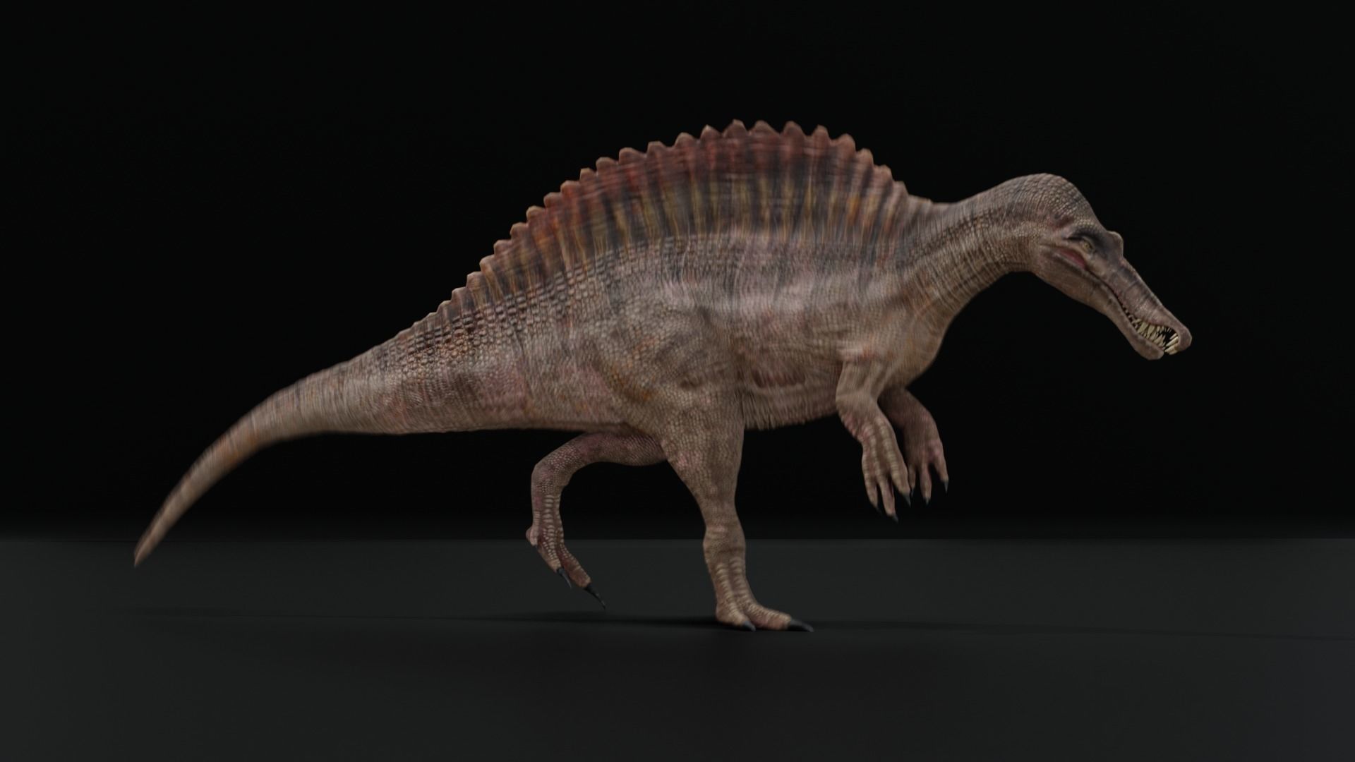 Monster Spinosaurus Dinosaur Low-poly 3D model_15