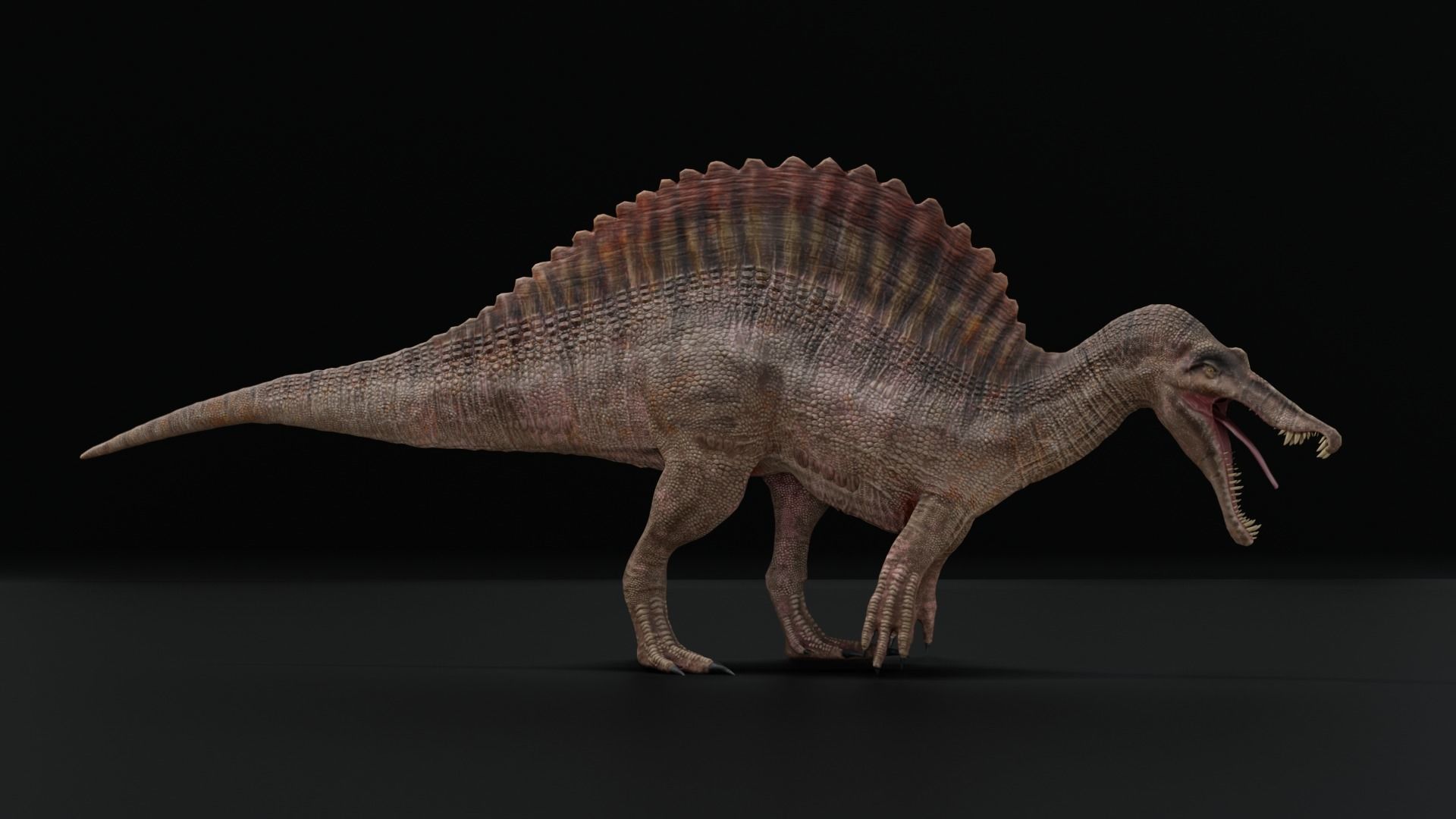 Monster Spinosaurus Dinosaur Low-poly 3D model_20