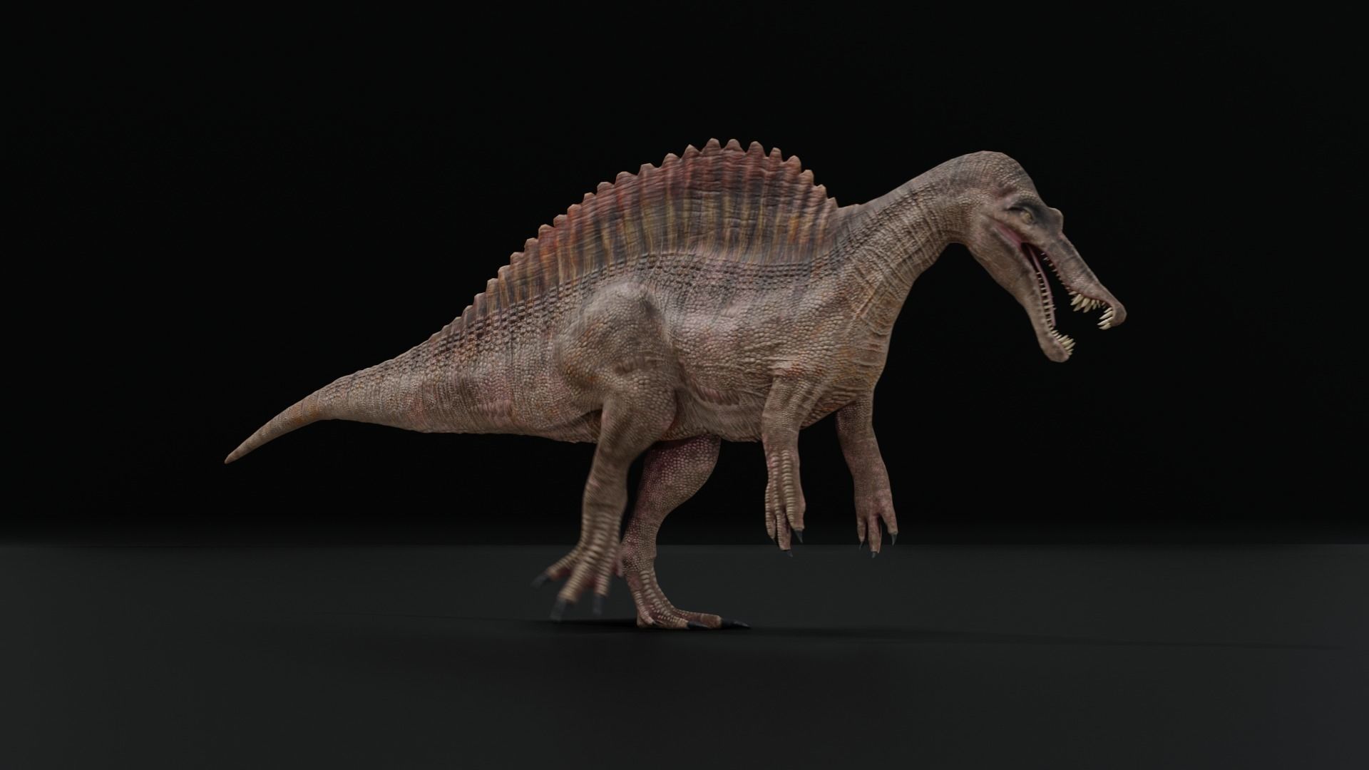 Monster Spinosaurus Dinosaur Low-poly 3D model_14