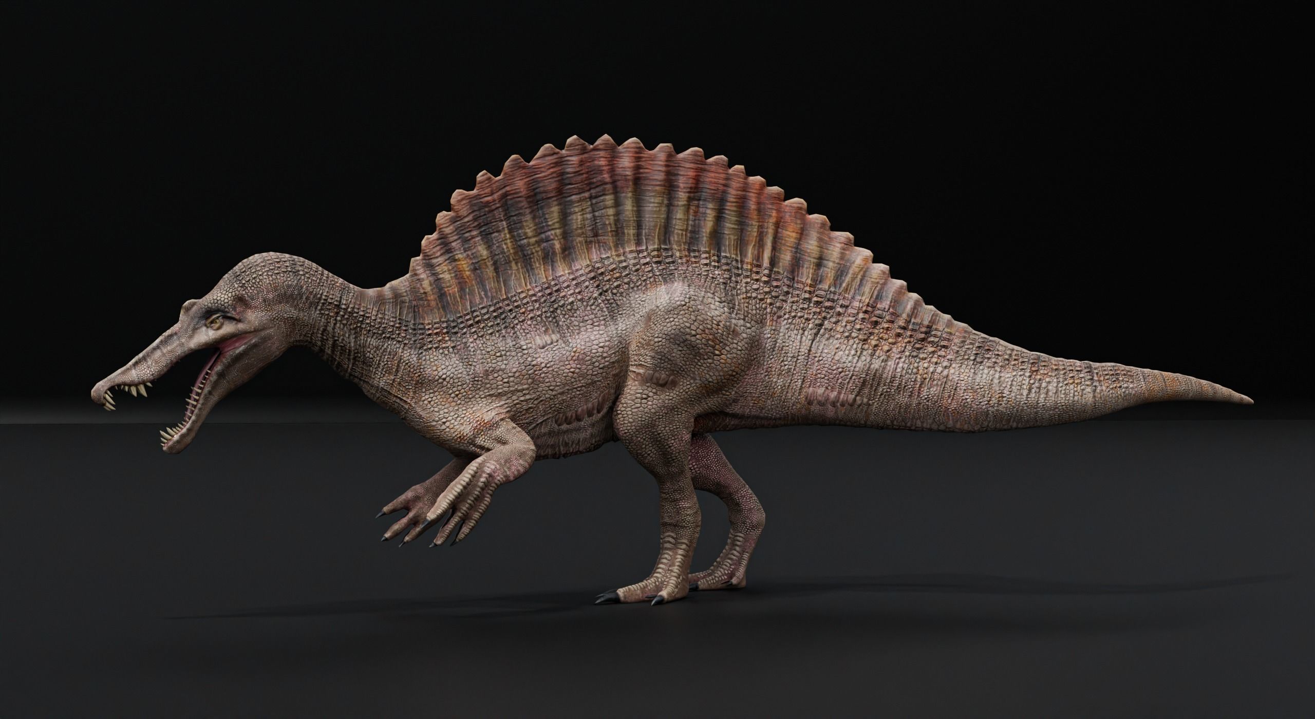 Monster Spinosaurus Dinosaur Low-poly 3D model_32