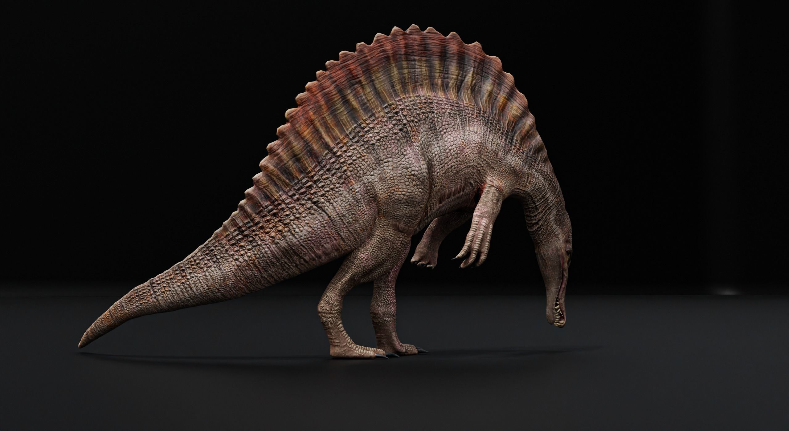 Monster Spinosaurus Dinosaur Low-poly 3D model_41