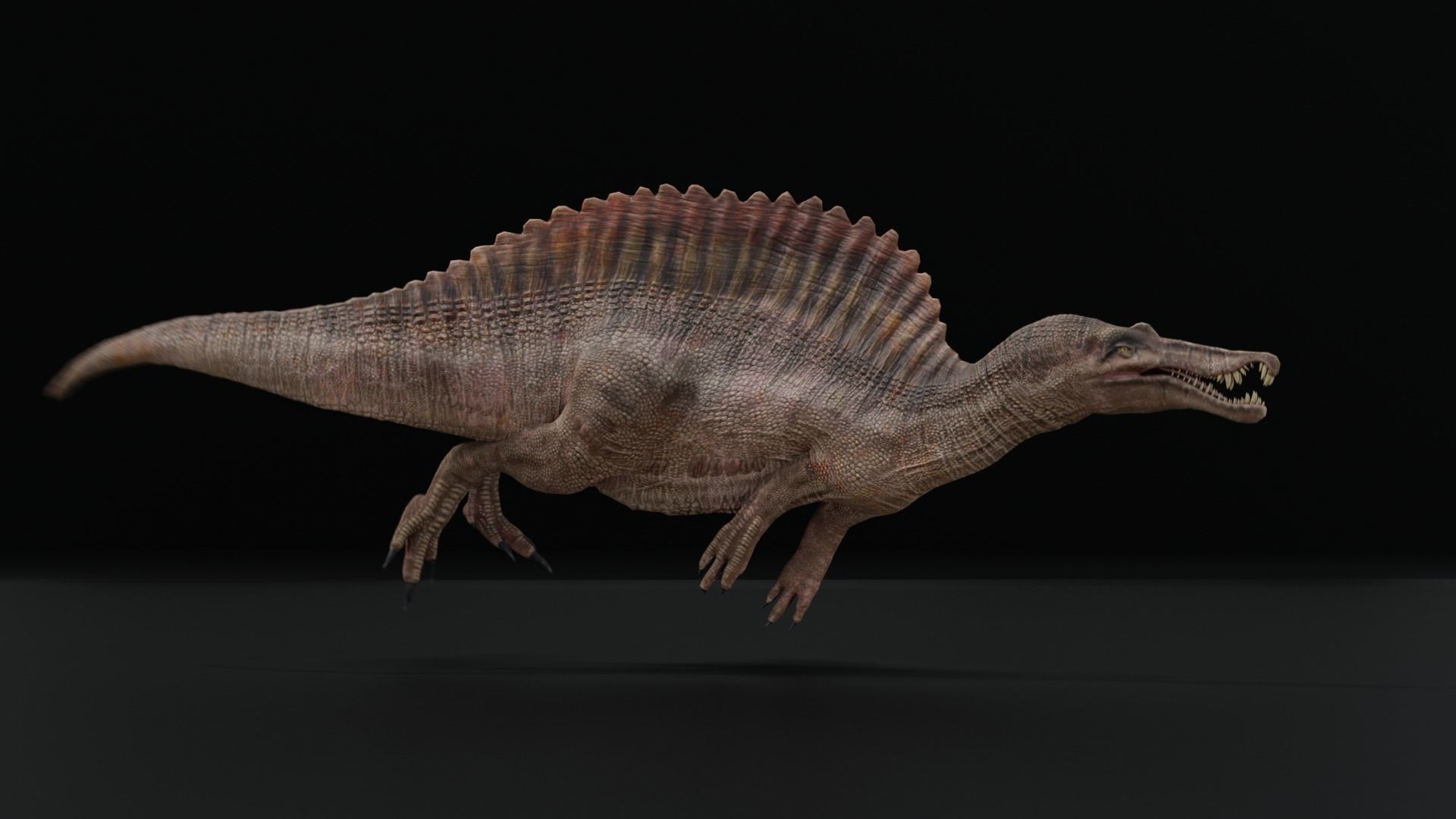 Monster Spinosaurus Dinosaur Low-poly 3D model_13