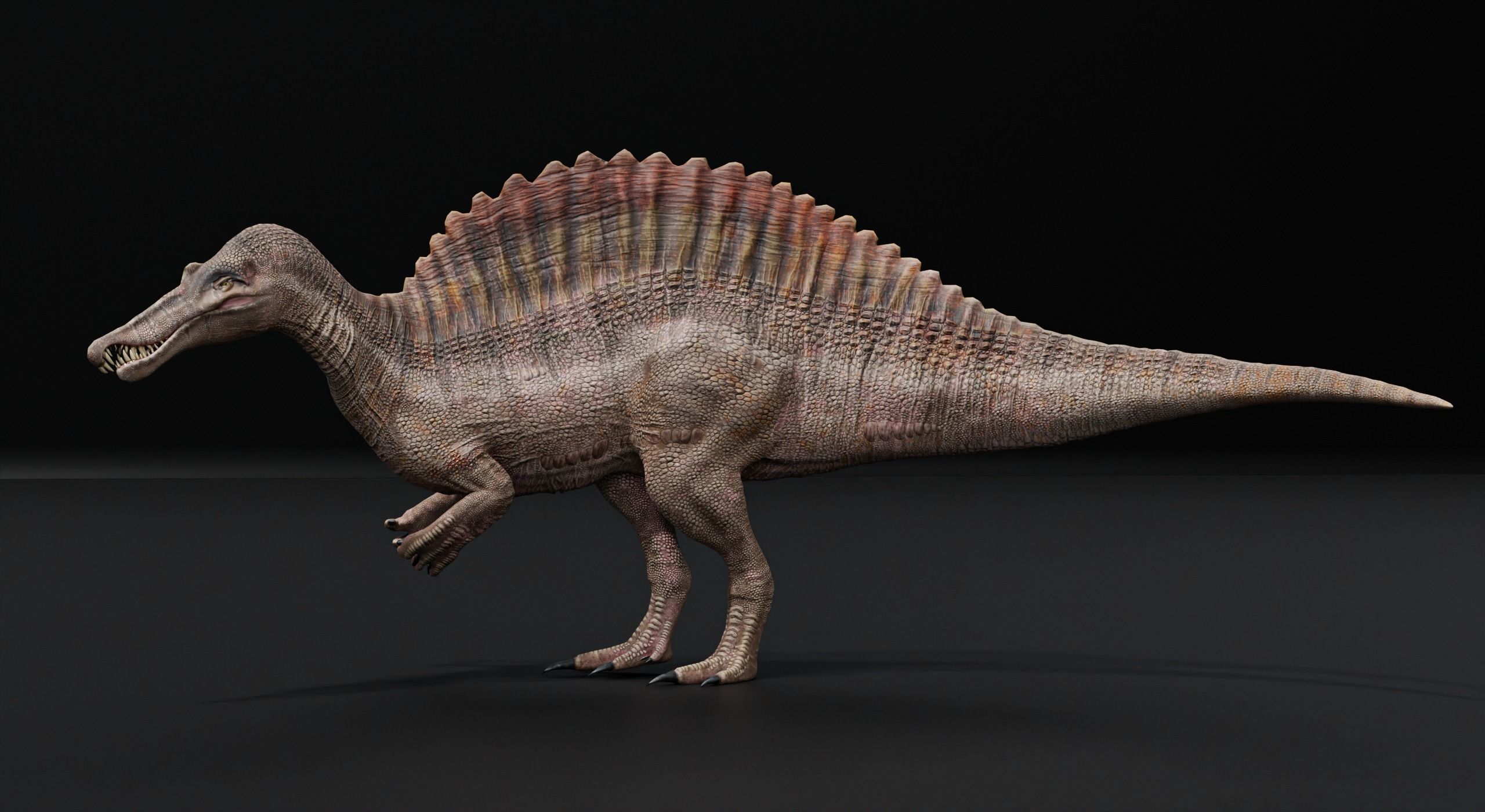 Monster Spinosaurus Dinosaur Low-poly 3D model_5