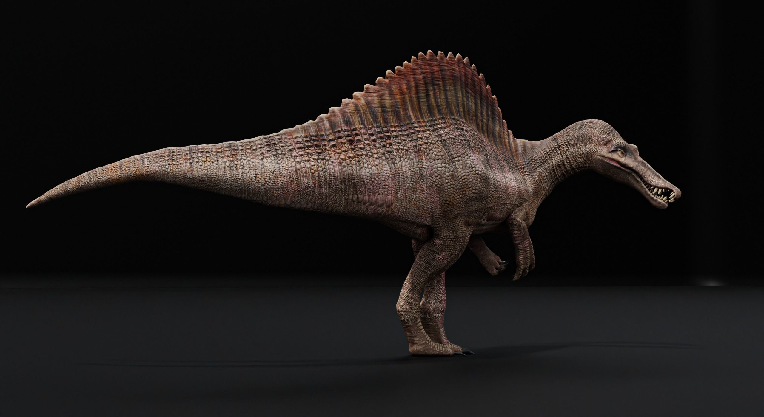 Monster Spinosaurus Dinosaur Low-poly 3D model_39