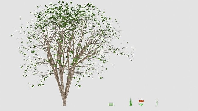 Objects for nature 3D model