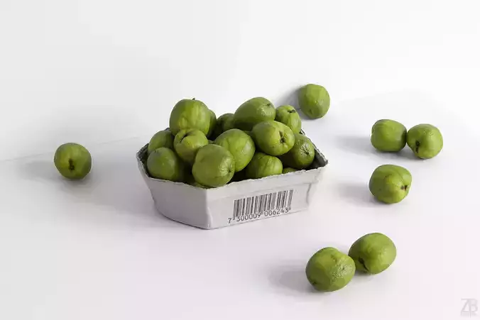 Kiwi  3D model