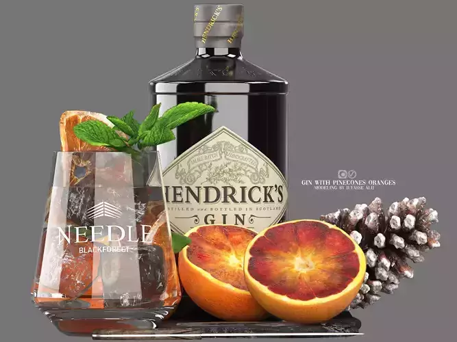 hendrick gin with pinecones and blood oranges 