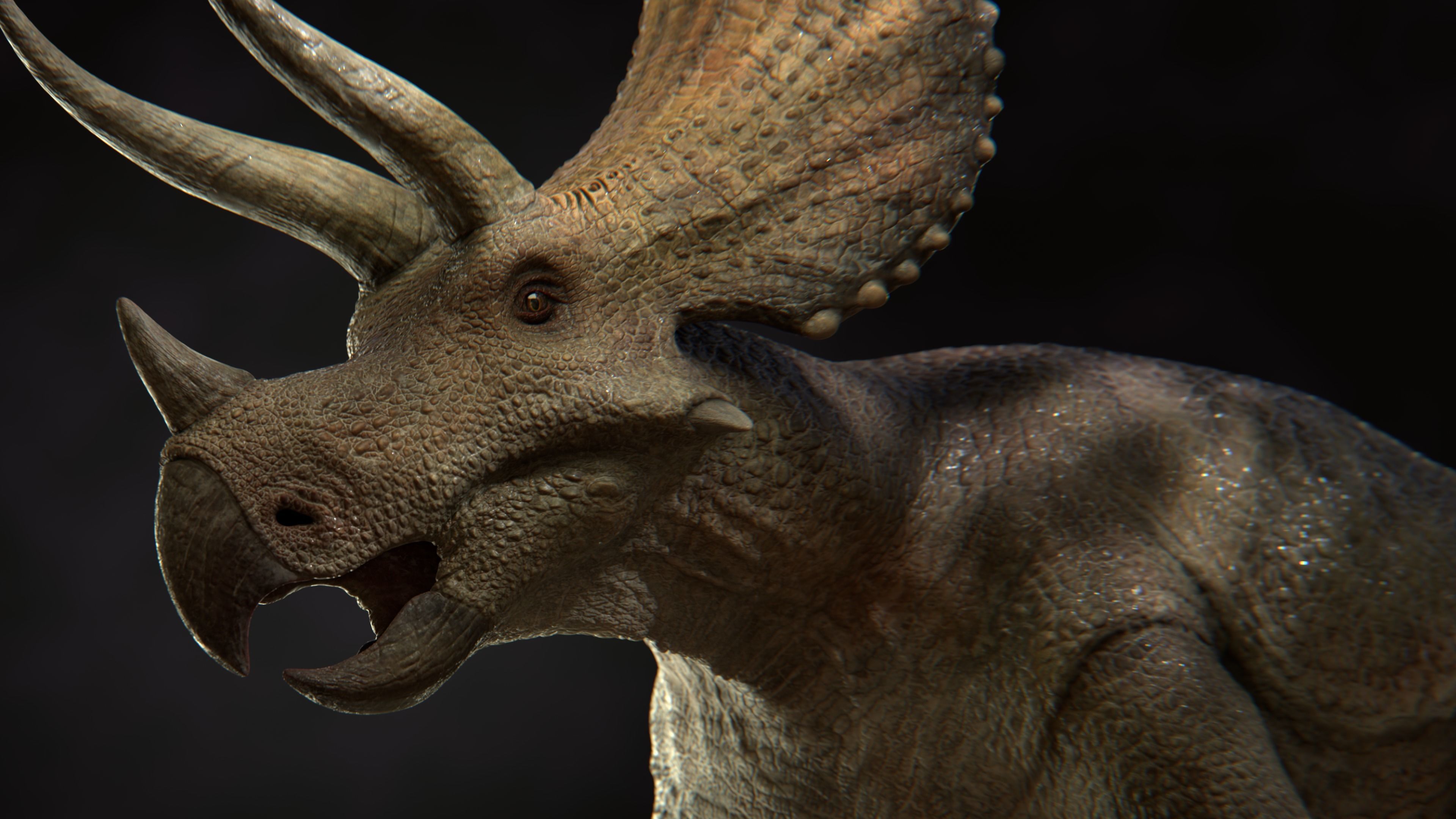 Triceratops Low-poly 3D model_26