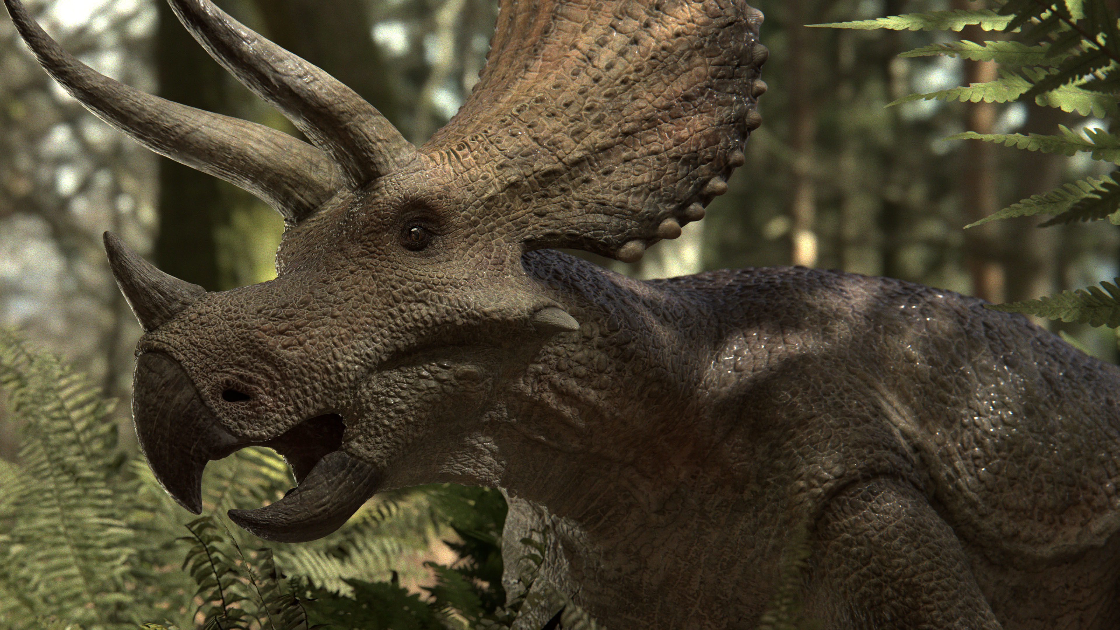 Triceratops Low-poly 3D model_5