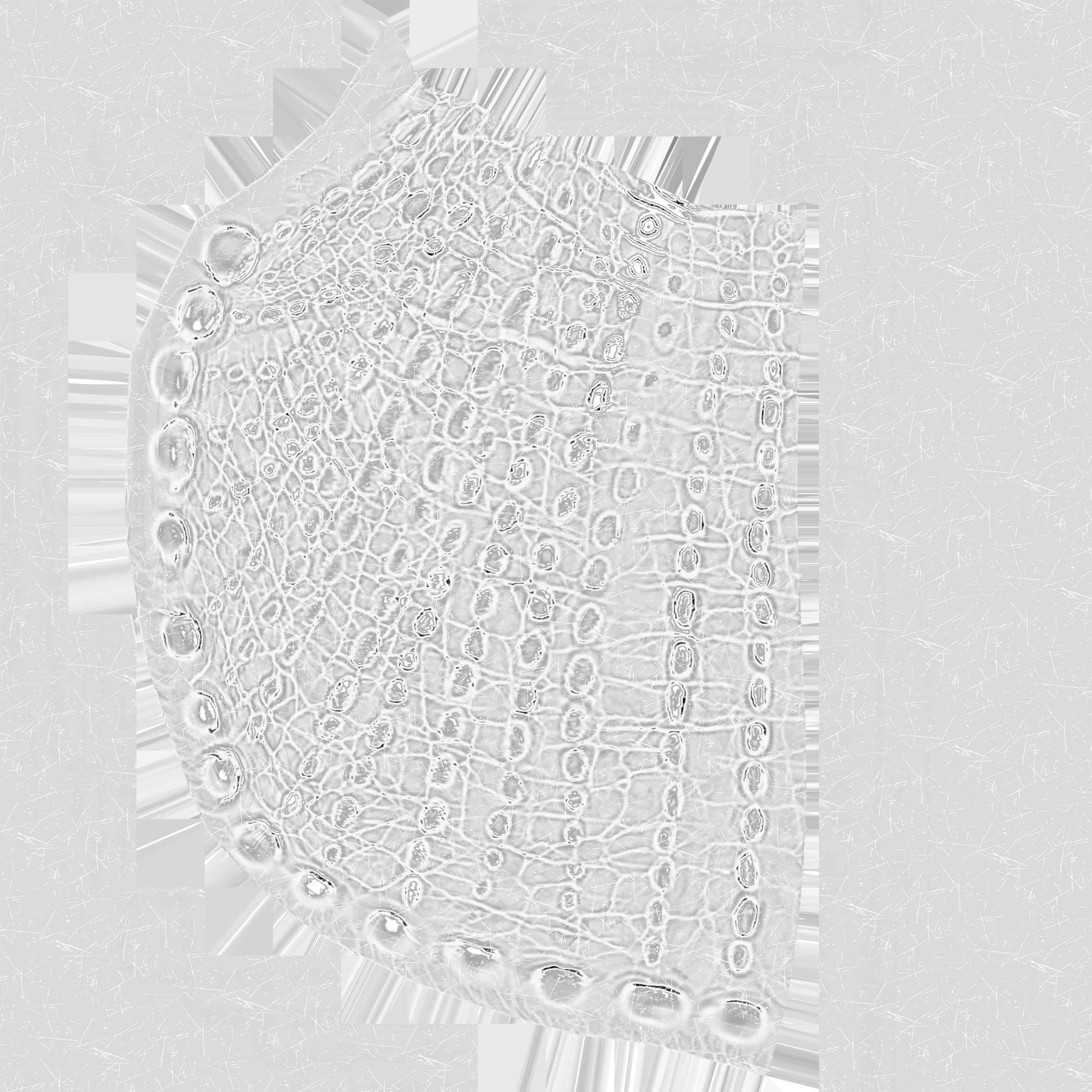 Triceratops Low-poly 3D model_23