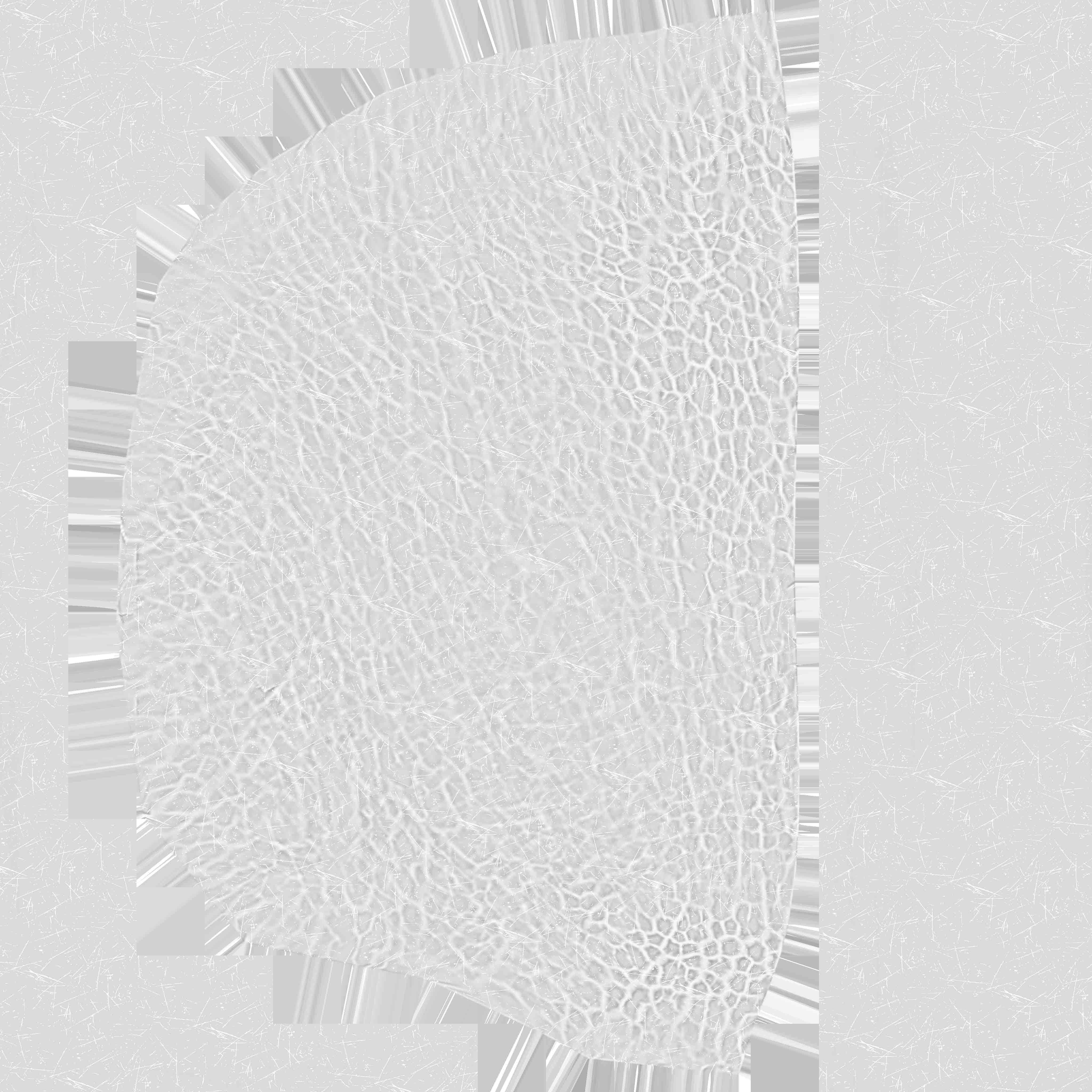 Triceratops Low-poly 3D model_24