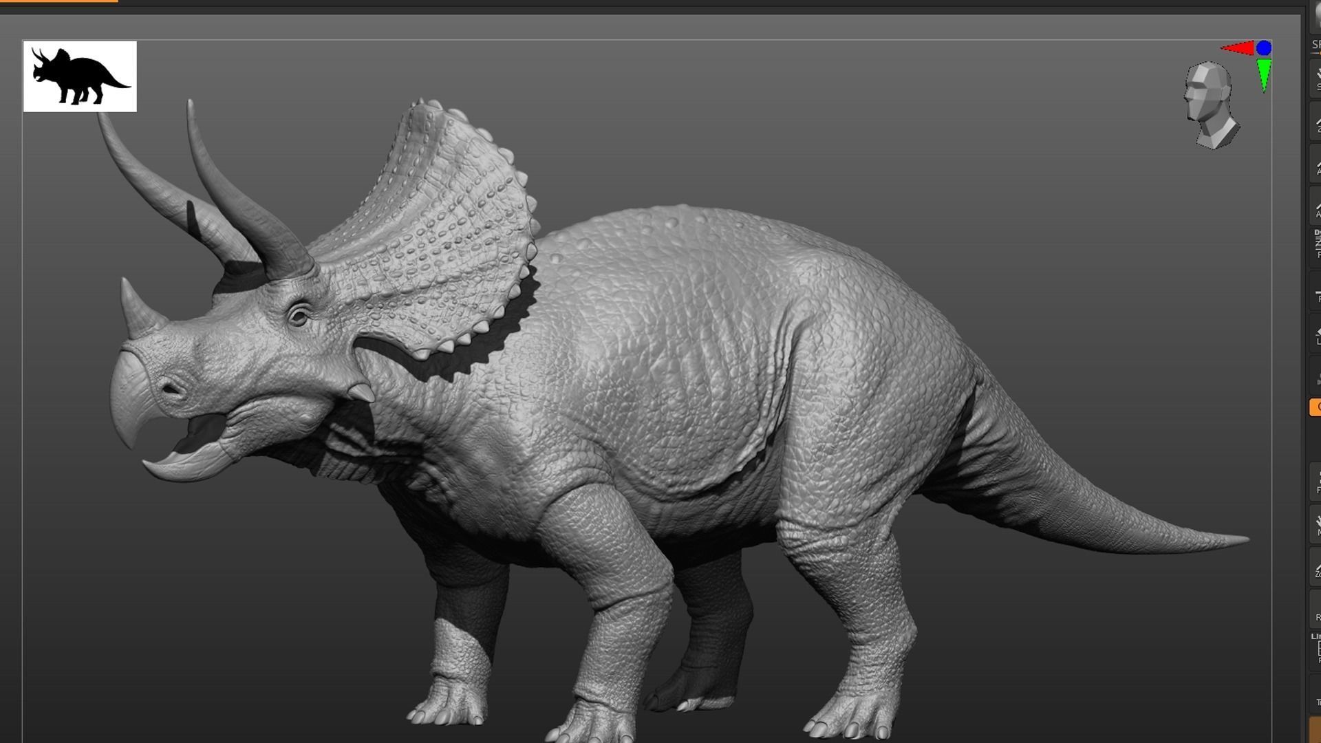 Triceratops Low-poly 3D model_11