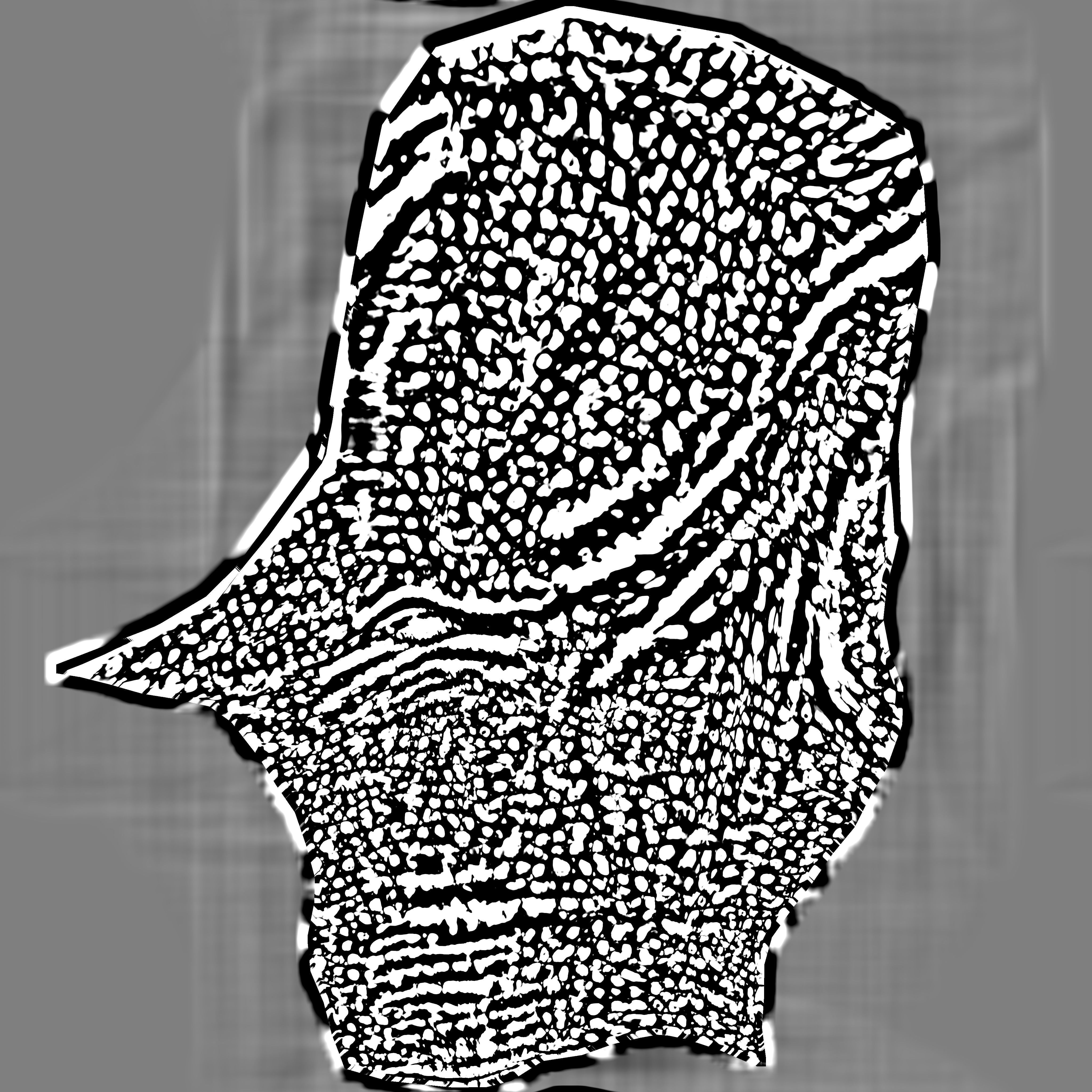 Triceratops Low-poly 3D model_18