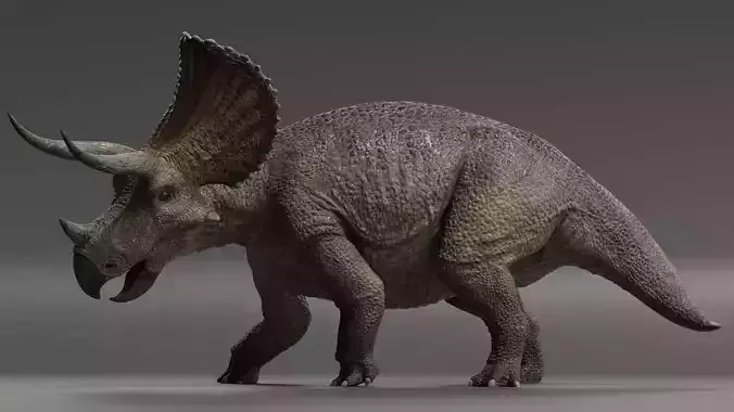 Triceratops Low-poly 3D model