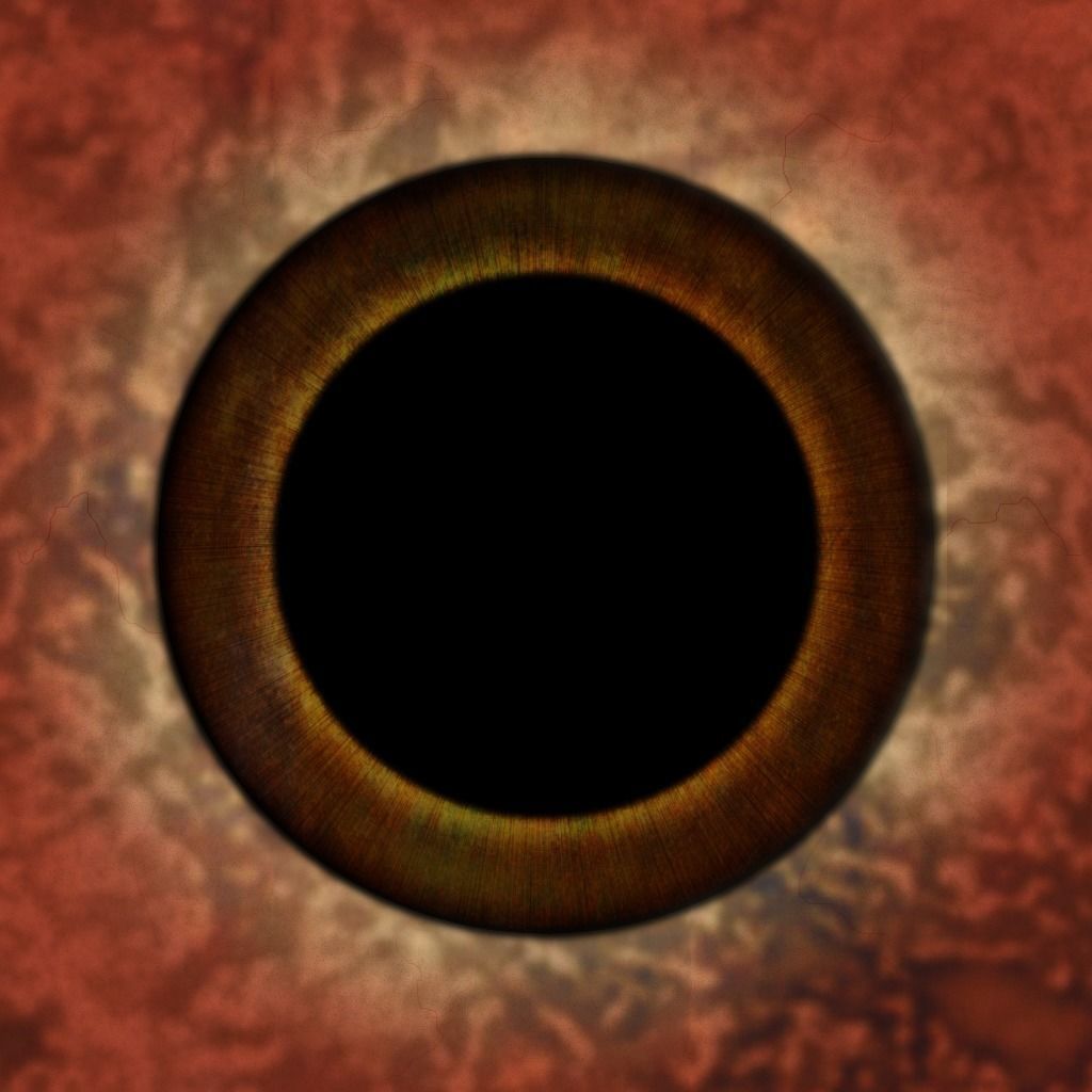 Triceratops Low-poly 3D model_25