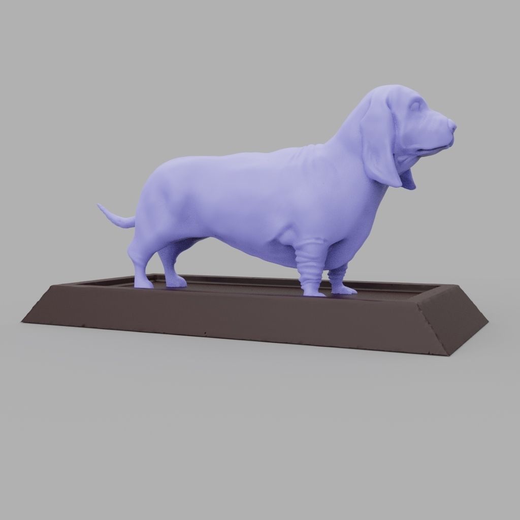 Basset Hound 3D print model_11
